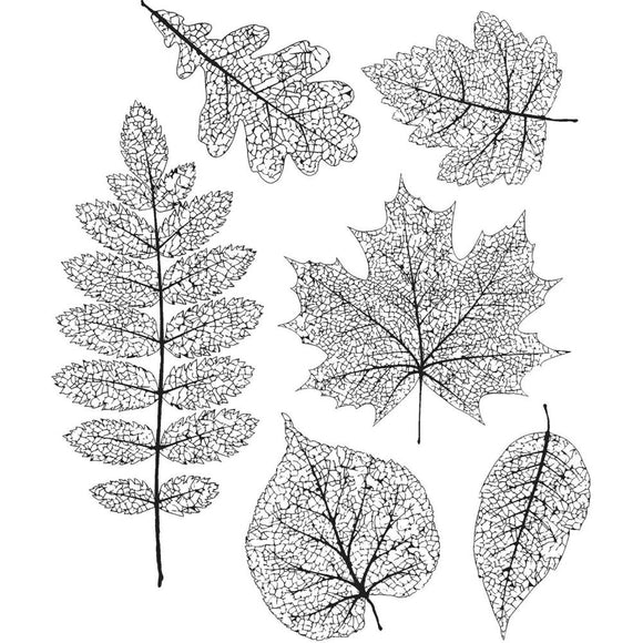 CMS376 Pressed Foliage