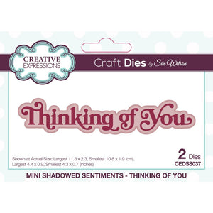 Creative Expressions Thinking Of You Mini Shadowed Sentiments