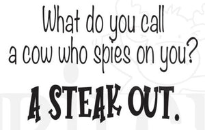 RWD-1371 A Steak Out