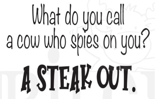RWD-1371 A Steak Out