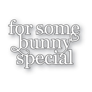 2721 For Some Bunny Special craft die