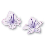 94793 Gladiola Floral Duo craft die