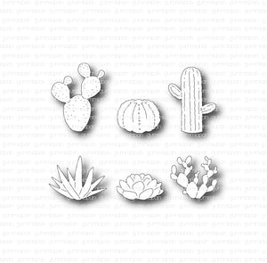 D210621 Cactus Set