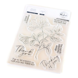 Pinkfresh Studio Amazing Things Clear Stamps