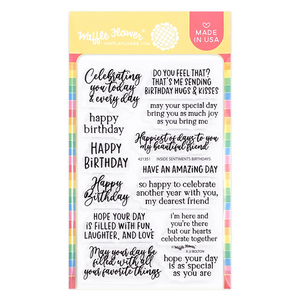 Inside Sentiment Birthday 2 Stamp Set