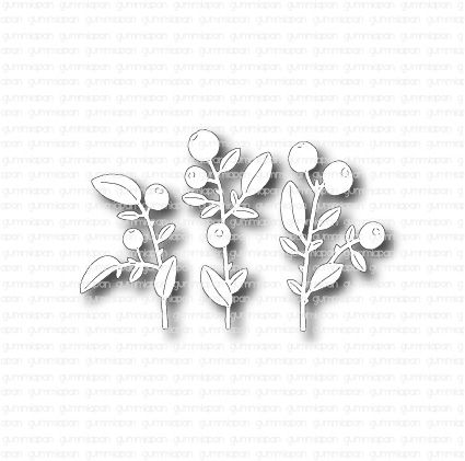 D220918 Blueberry Plants