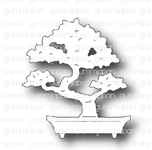 D220146 Bonsai Tree