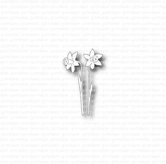 D220235 Tiny Daffodils
