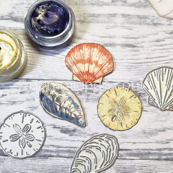 D240324 Large Seashells