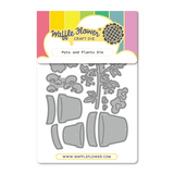 422488 Pots and Plants Die