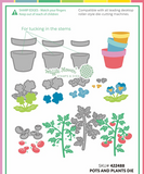 422488 Pots and Plants Die