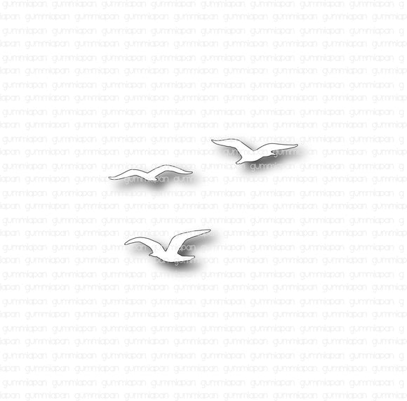 D220329 Seagulls