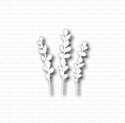 D220422 Small Eucalyptus Twigs