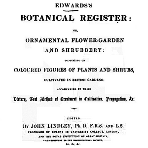 WVBG029 Botanical Register Background Stamp