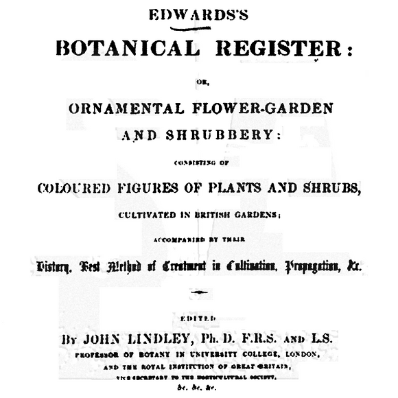 WVBG029 Botanical Register Background Stamp